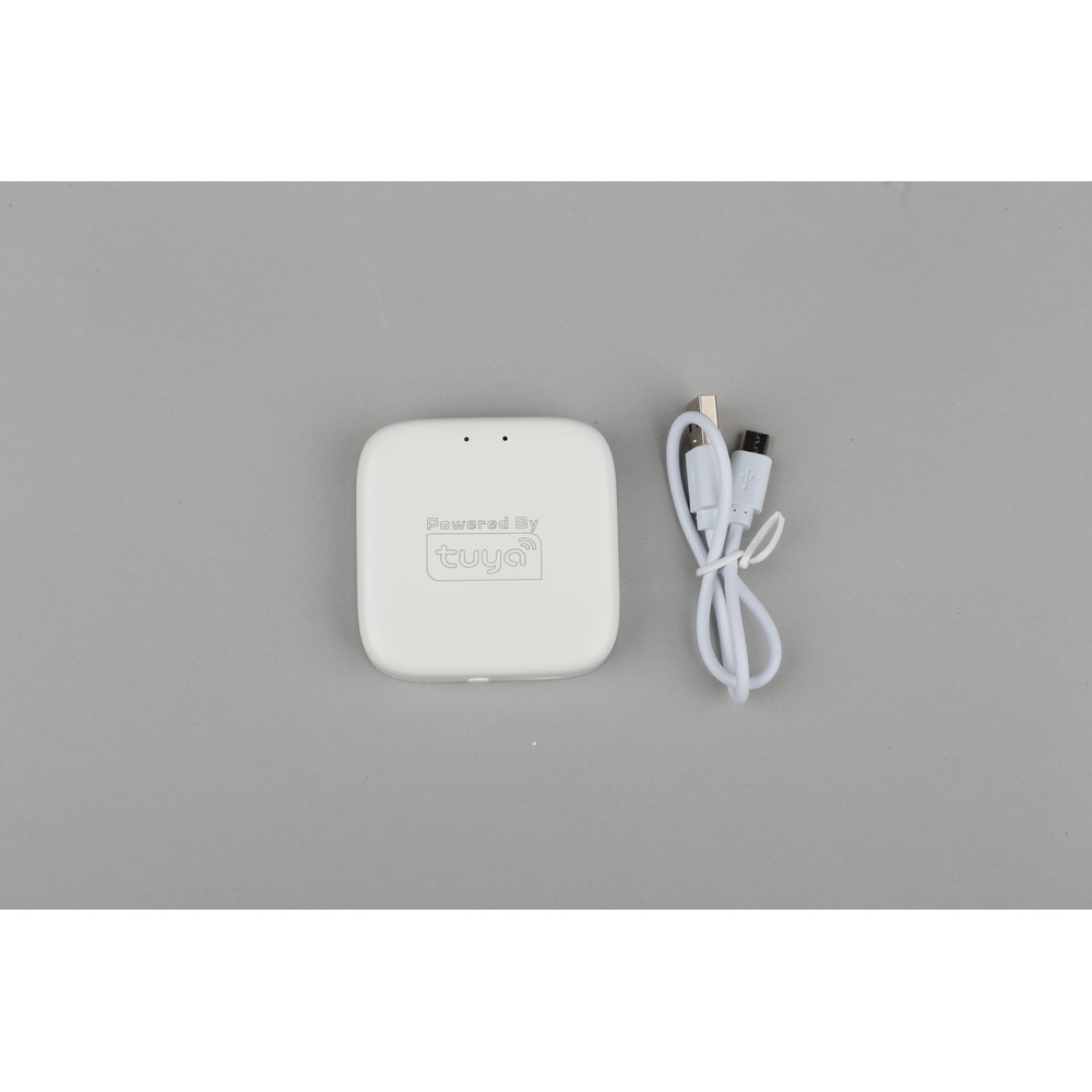APL.0295.00.01_1