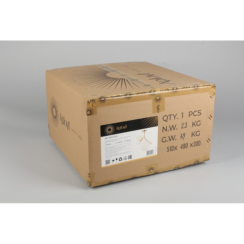 APL.300.07.02_9999