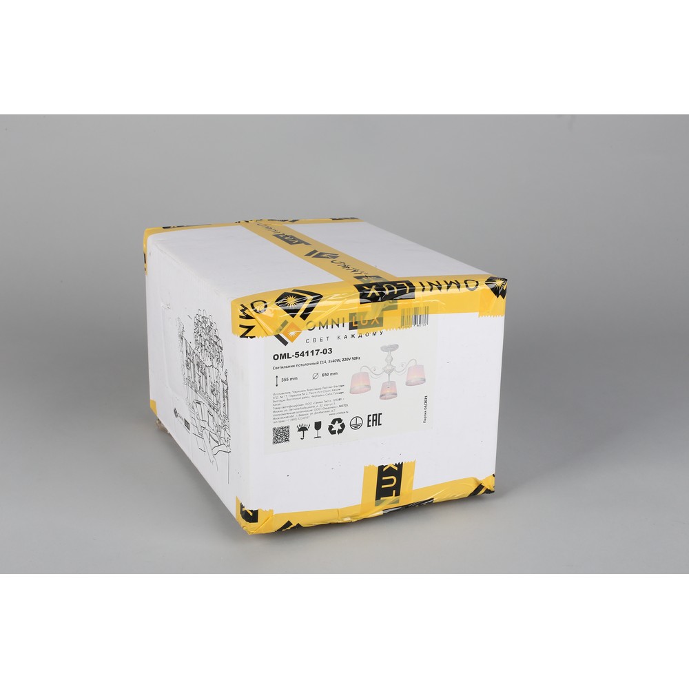 oml-54117-03_99