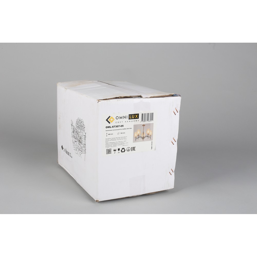 oml-67307-05_99
