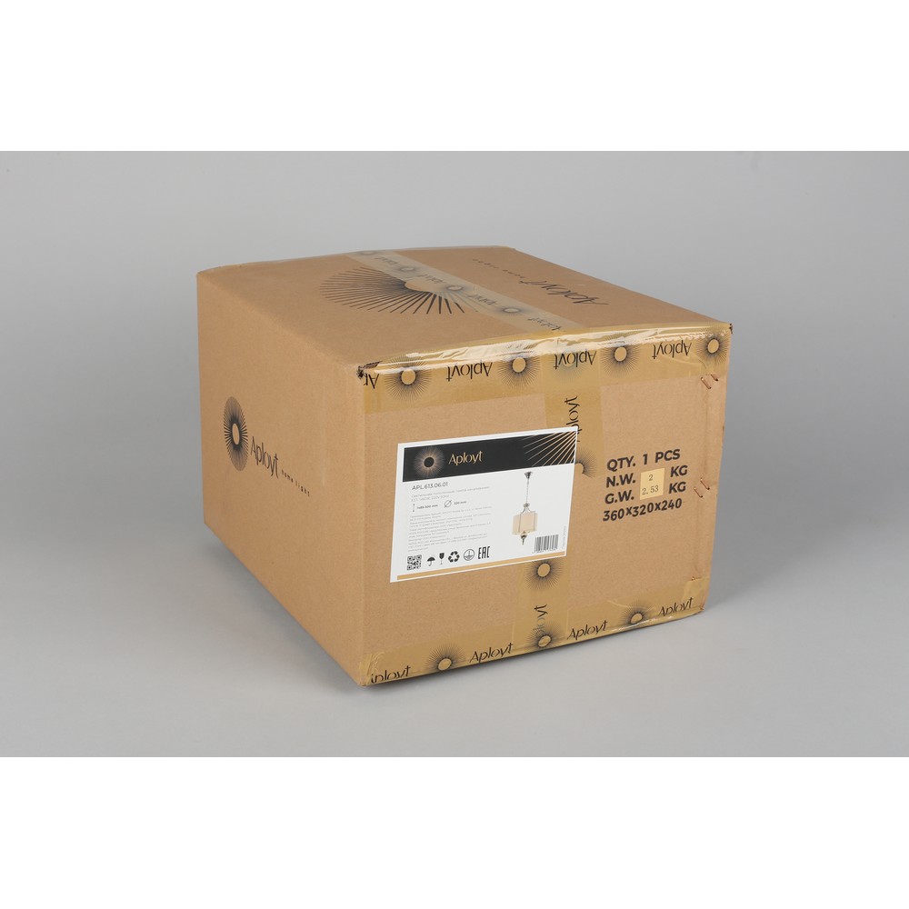 APL.613.06.01_9999