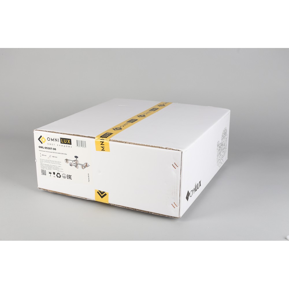 oml-95307-06_99