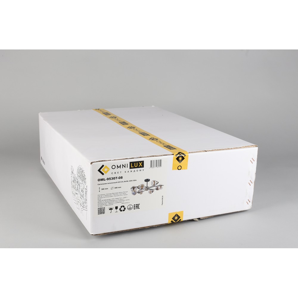 oml-95307-08_99