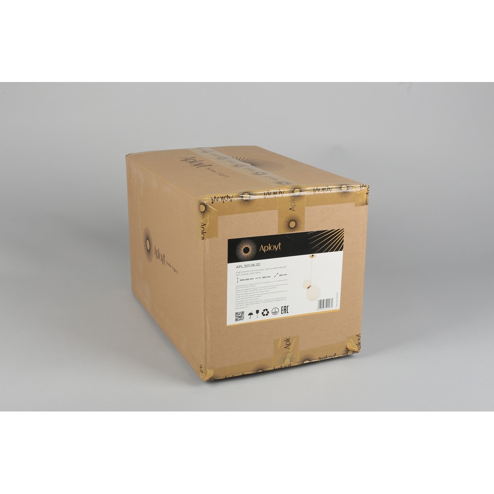APL.301.06.02_9999