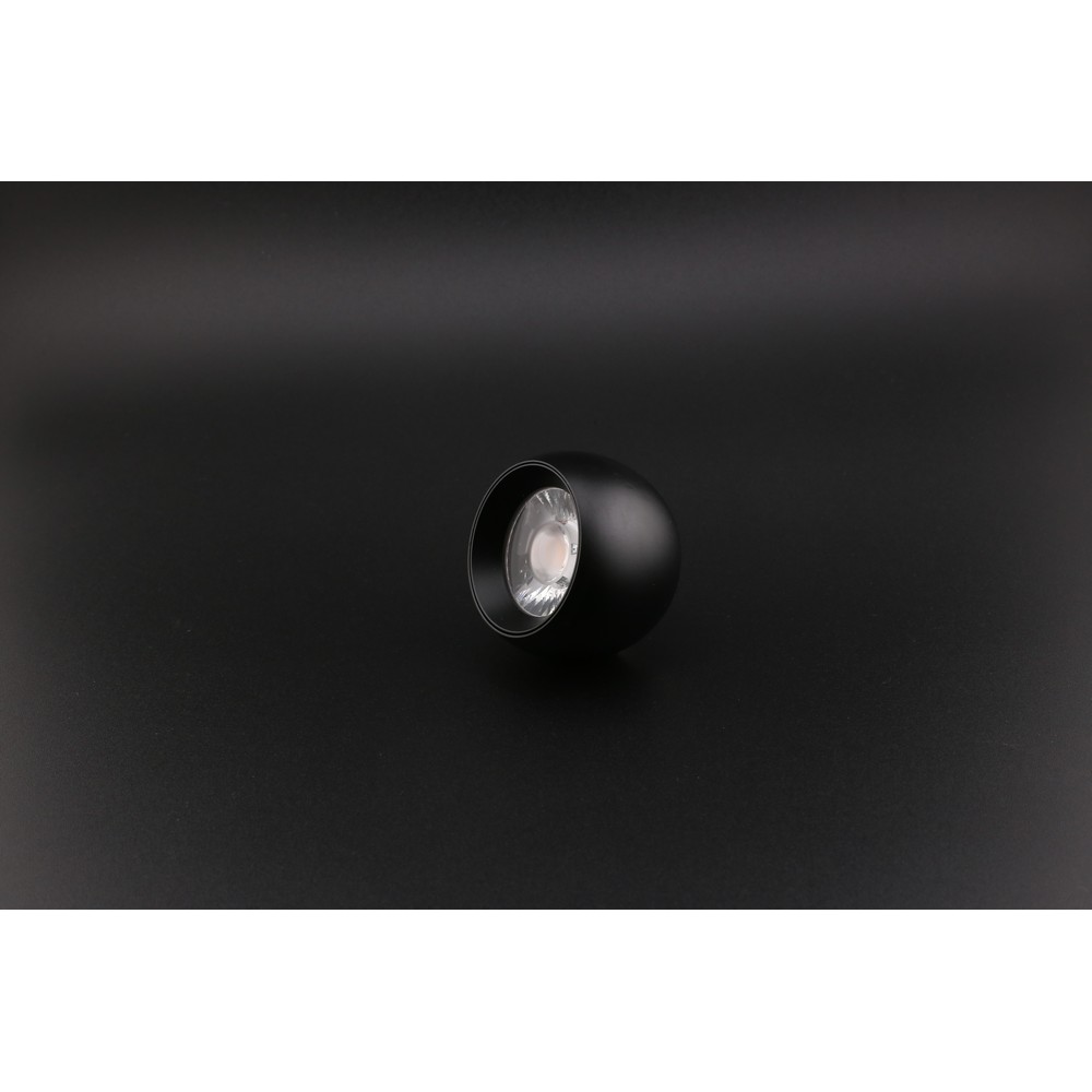 APL.0056.09.05_991